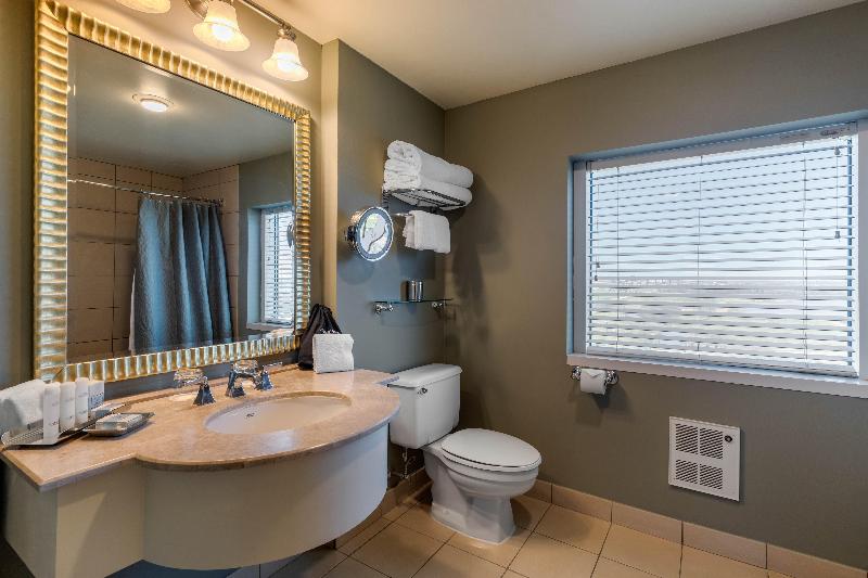 Renaissance Dallas North Hotel image