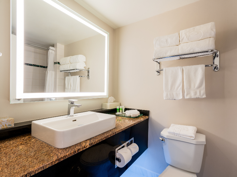 Executive Suites Hotel Metro Vancouver Burnaby image