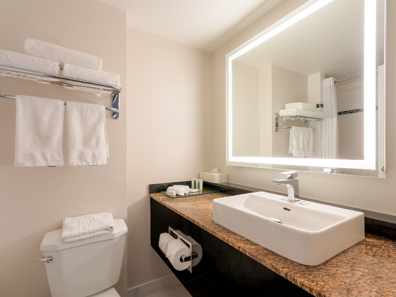 Executive Suites Hotel Metro Vancouver Burnaby image