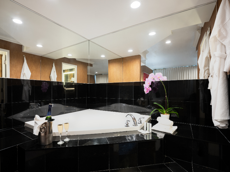 Executive Suites Hotel Metro Vancouver Burnaby image