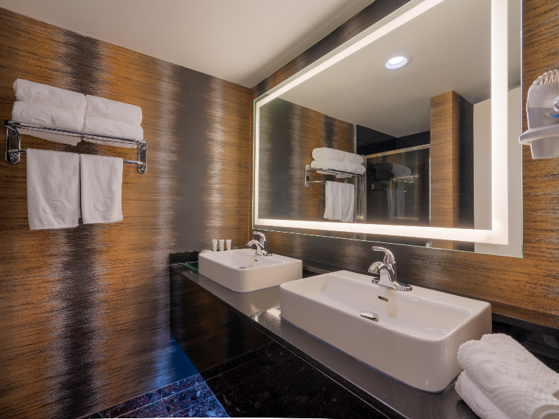 Executive Suites Hotel Metro Vancouver Burnaby image