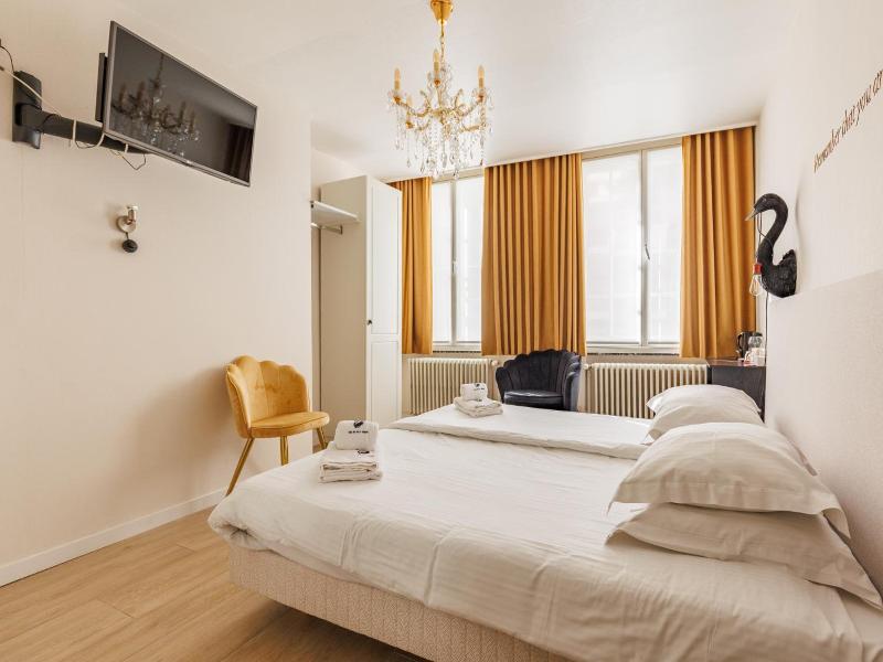 The Black Swan Hotel image