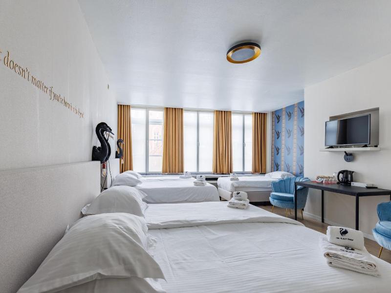 The Black Swan Hotel image
