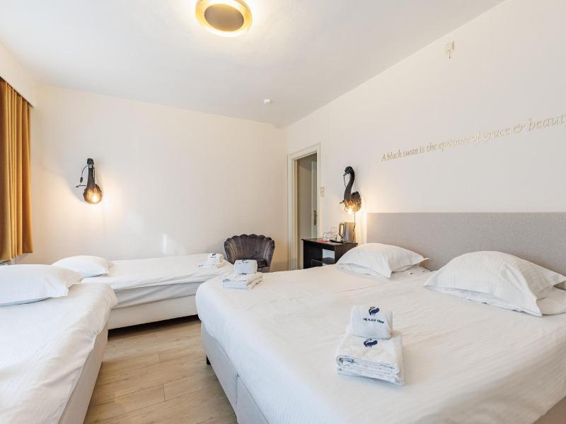 The Black Swan Hotel image
