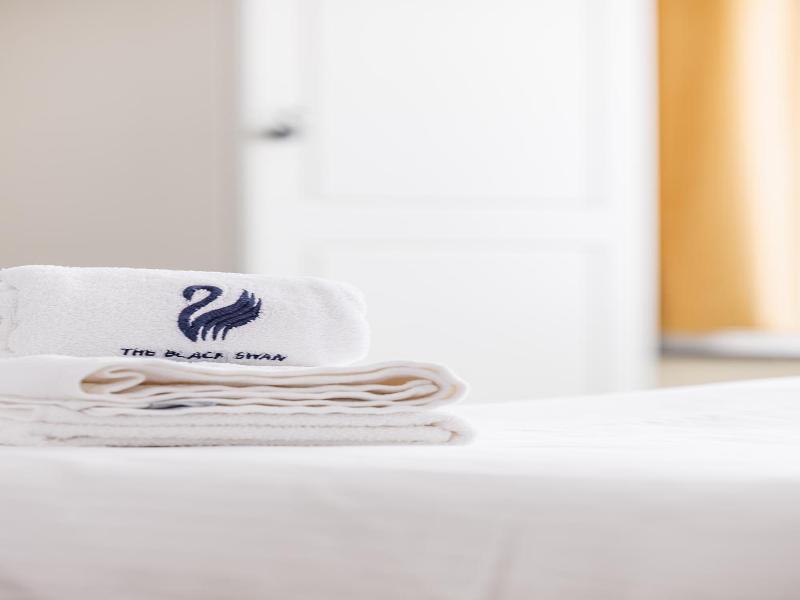 The Black Swan Hotel image