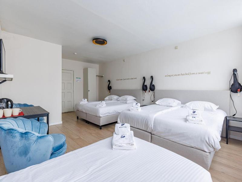 The Black Swan Hotel image