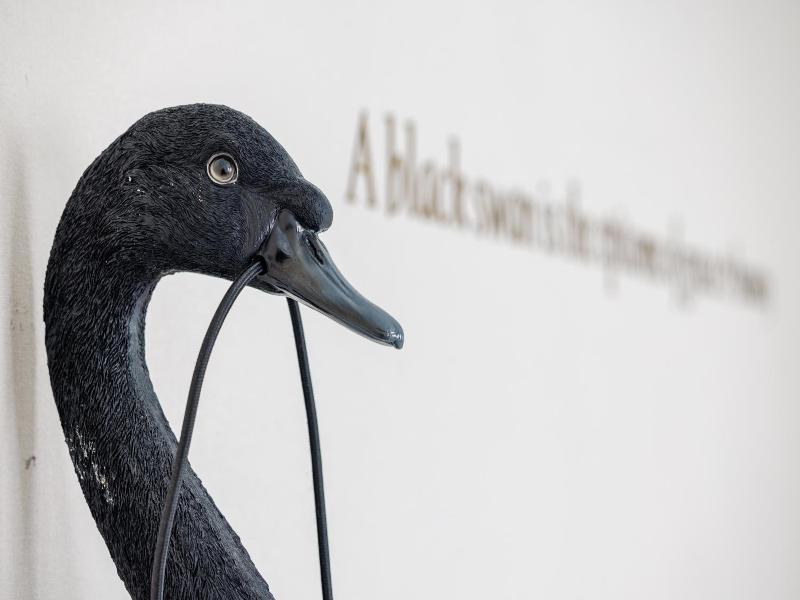 The Black Swan Hotel image