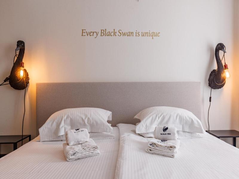 The Black Swan Hotel image