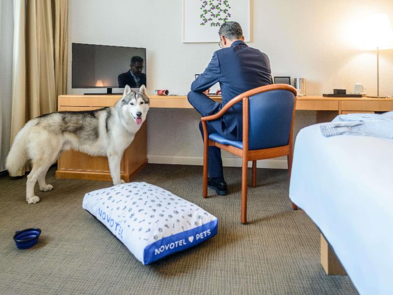 Novotel Torino Corso Giulio Cesare image