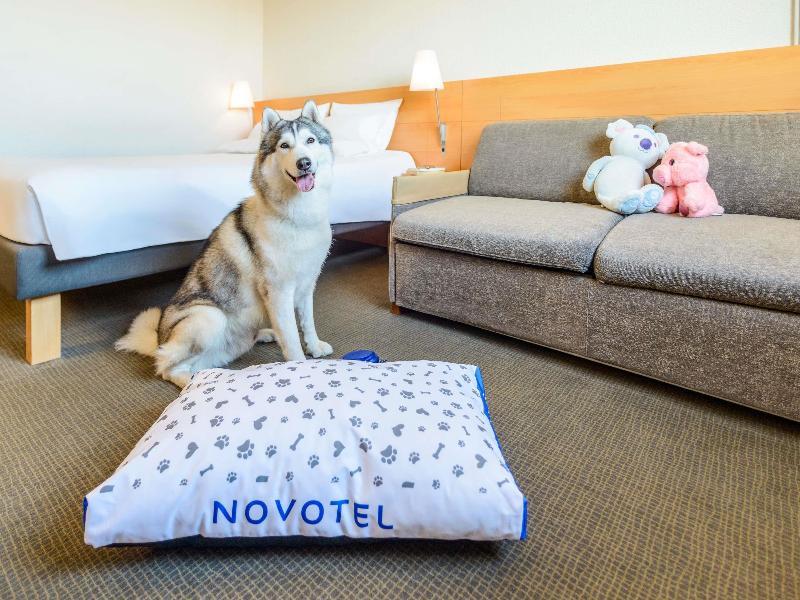 Novotel Torino Corso Giulio Cesare image