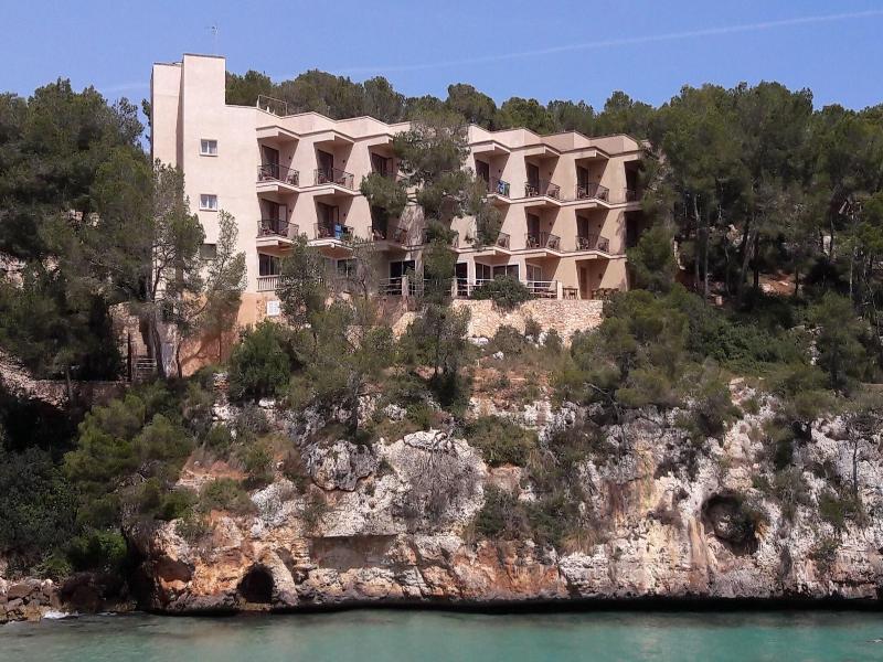 Palmaria  image