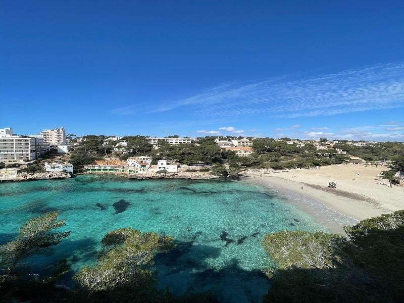 Palmaria  image