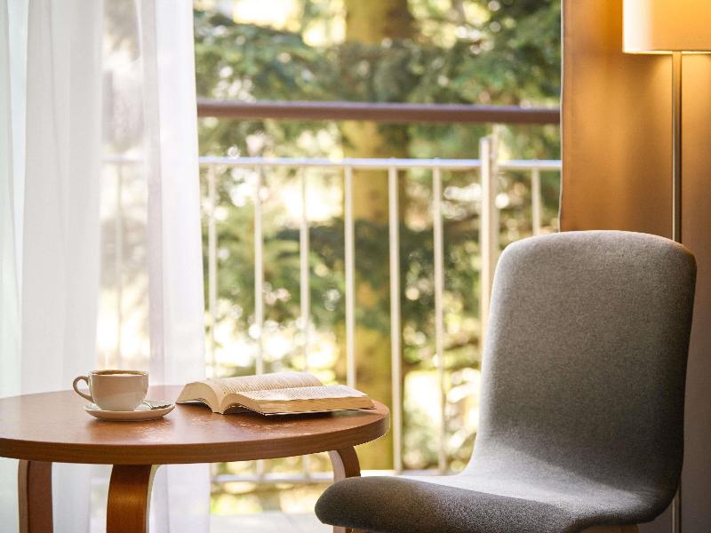 Mercure Karpacz Skalny image