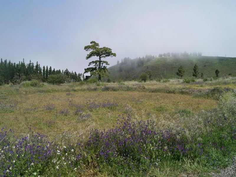 Rural Caserio los Partidos — general view