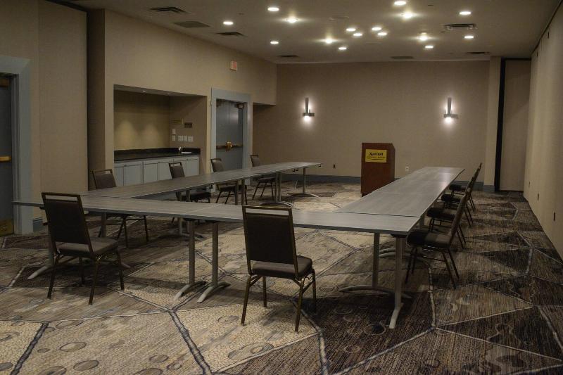 Dfw Airport Marriott South image