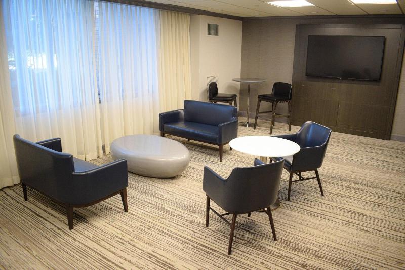 Dfw Airport Marriott South image
