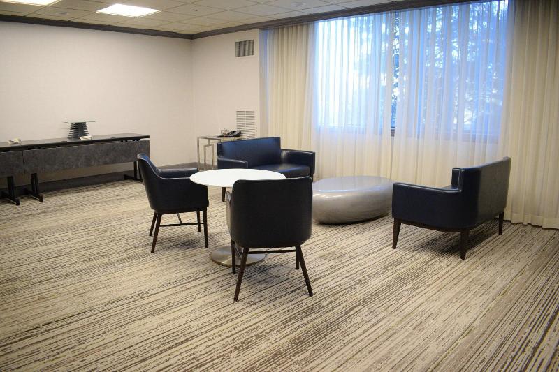 Dfw Airport Marriott South image