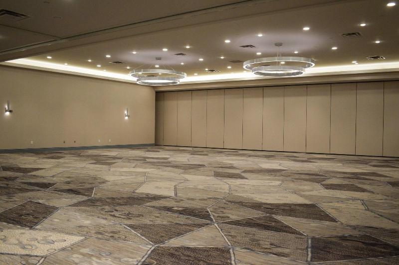 Dfw Airport Marriott South image
