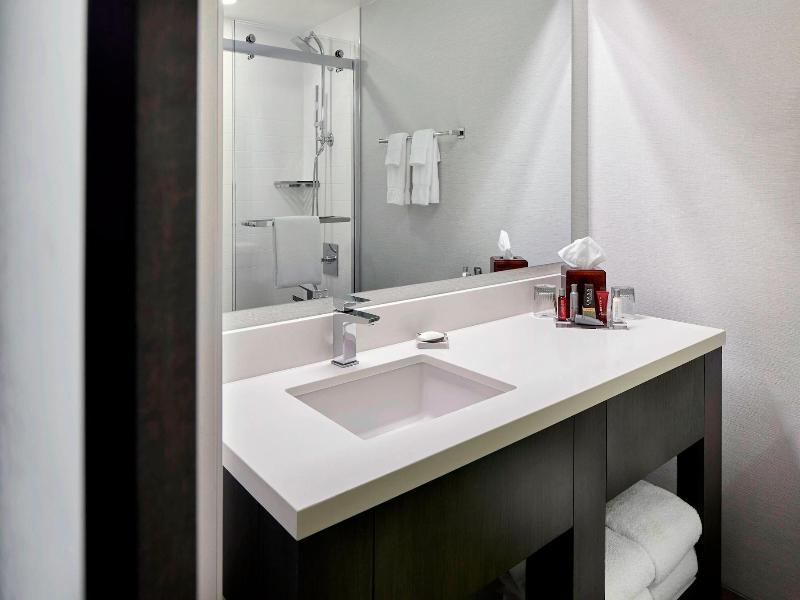 Dfw Airport Marriott South image