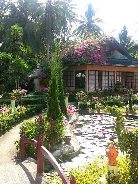 General view