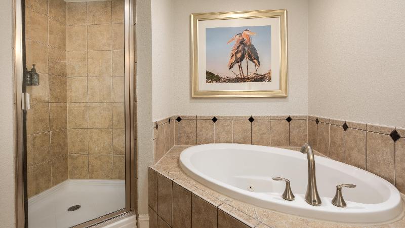 Holiday Inn Club Vacations at Orange Lake Resort image