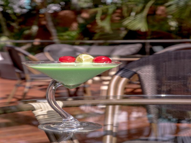 Hodelpa Garden Court image