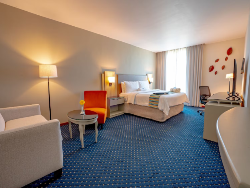 Hodelpa Garden Court image