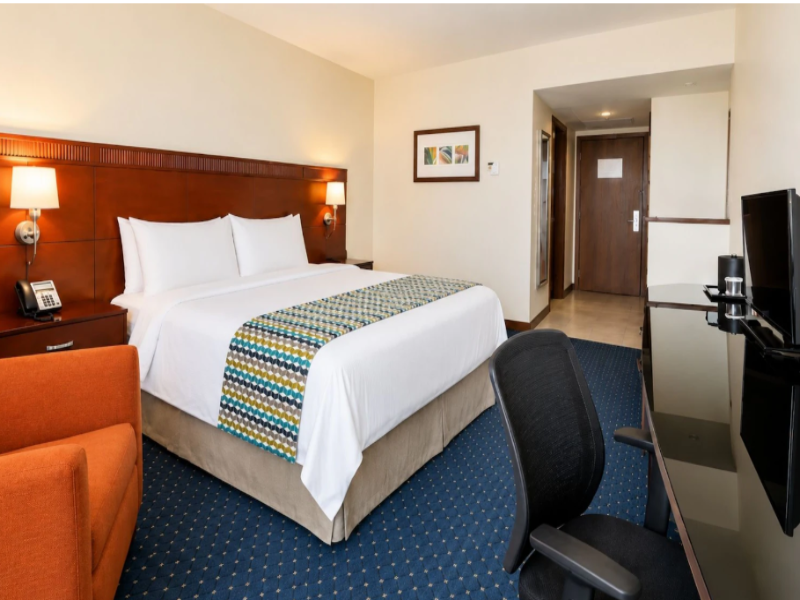 Hodelpa Garden Court image