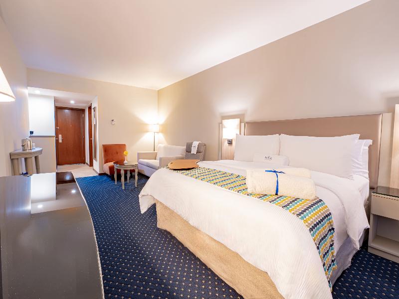 Hodelpa Garden Court image