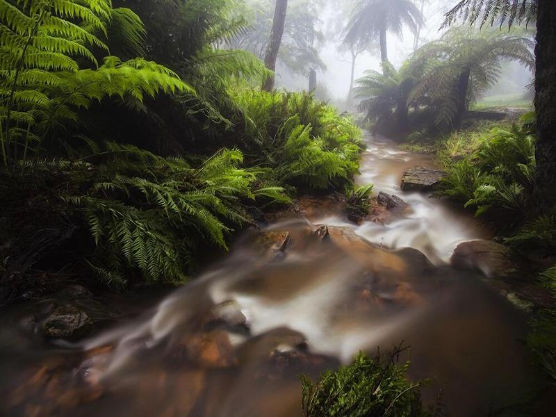 Lilianfels Resort & Spa - Blue Mountains image