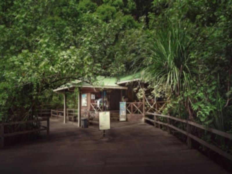 Permai Rainforest Resort, Kuching