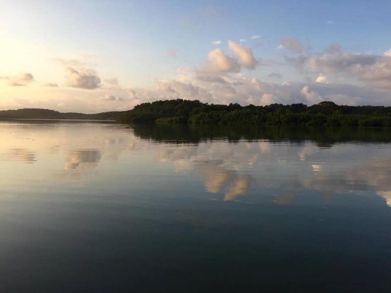 La Isla 