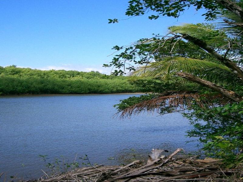 La Isla 