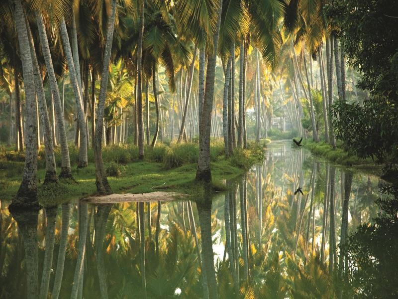 Isola Di Cocco Ayurvedic Heritage Beach Resort image