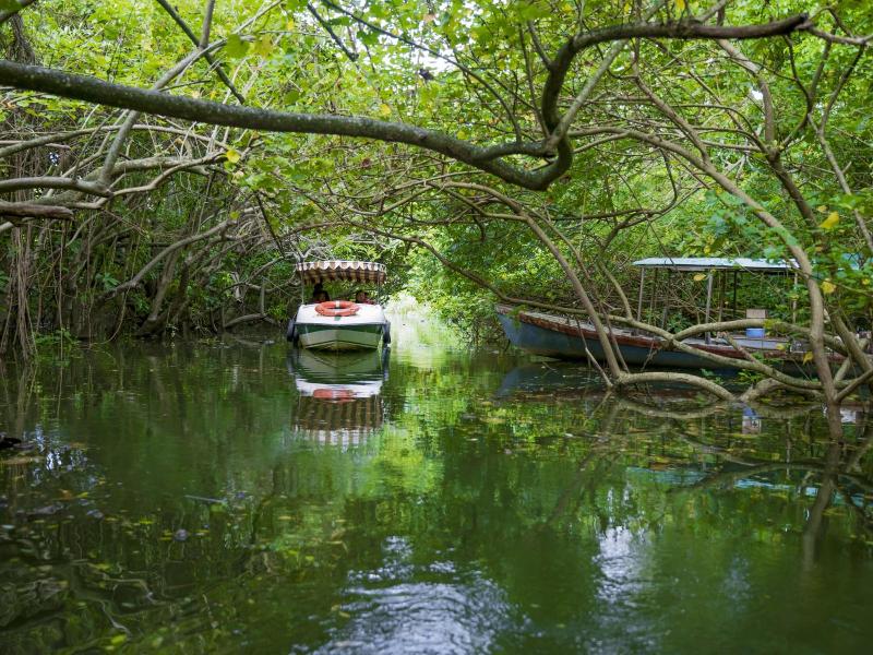 Isola Di Cocco Ayurvedic Heritage Beach Resort image