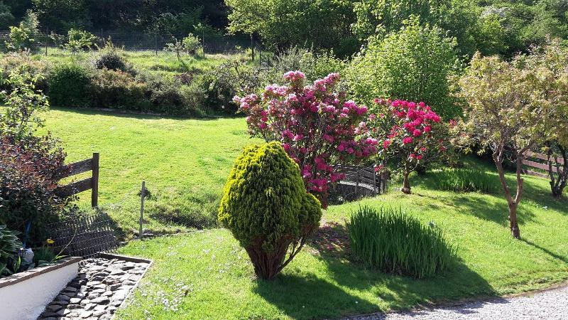 Ben Nevis Guest House image