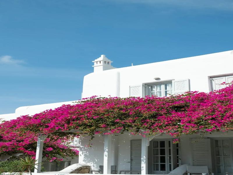 San Marco Luxury Hotel & Villa image