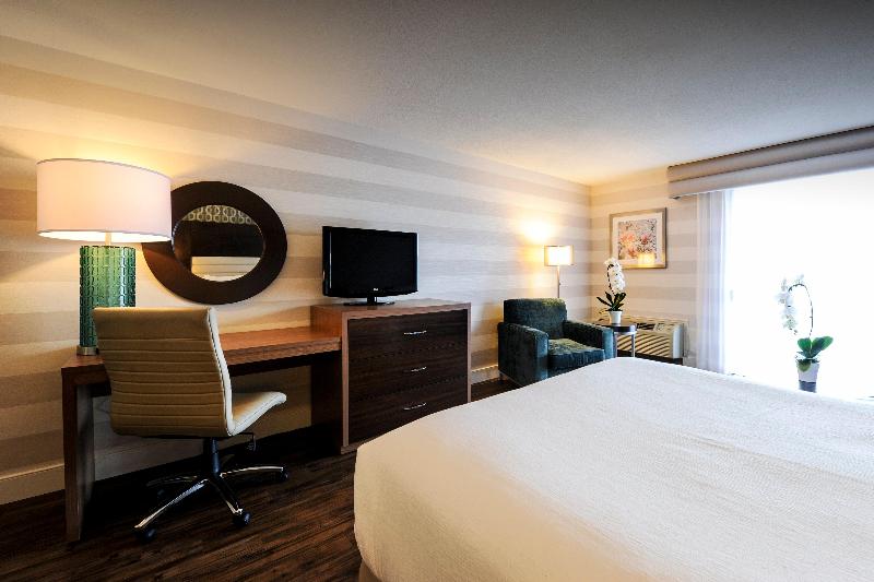 Holiday Inn by the Falls Holiday Inn by the Falls