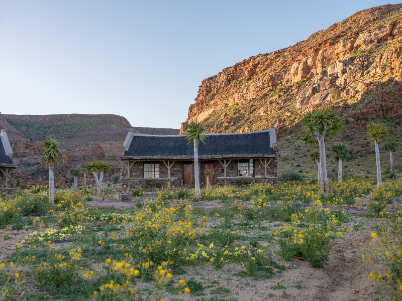 Canyon Village image