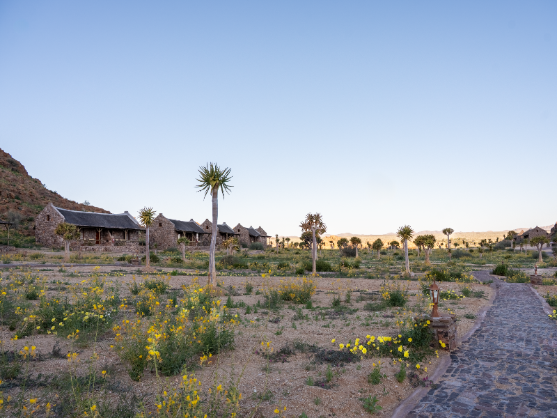 Canyon Village image