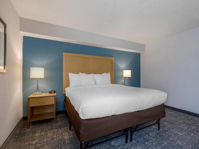 Comfort Inn & Suites Alexandria Area image