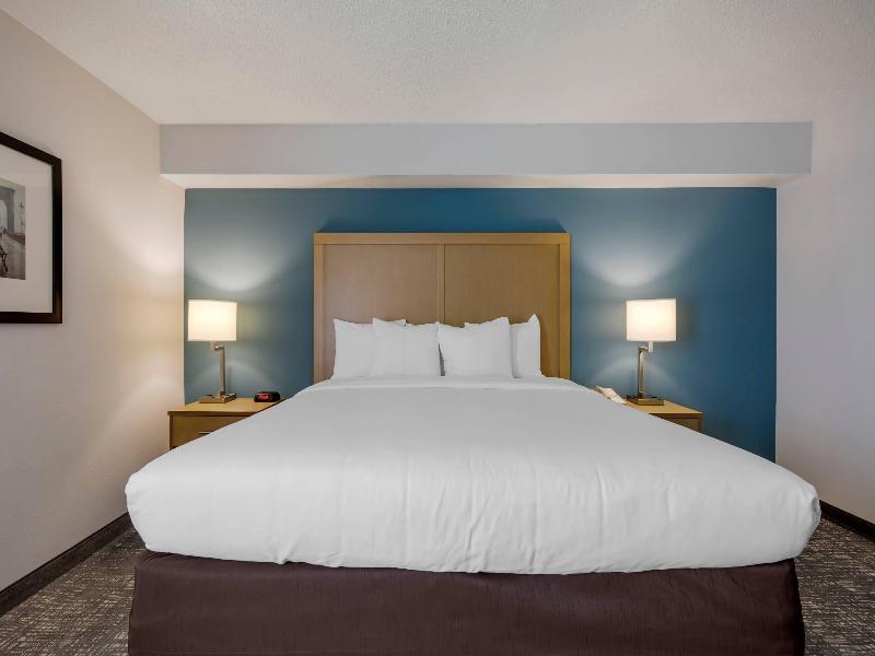Comfort Inn & Suites Alexandria Area image