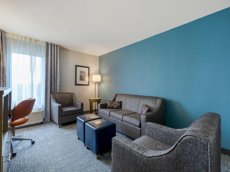 Comfort Inn & Suites Alexandria Area image