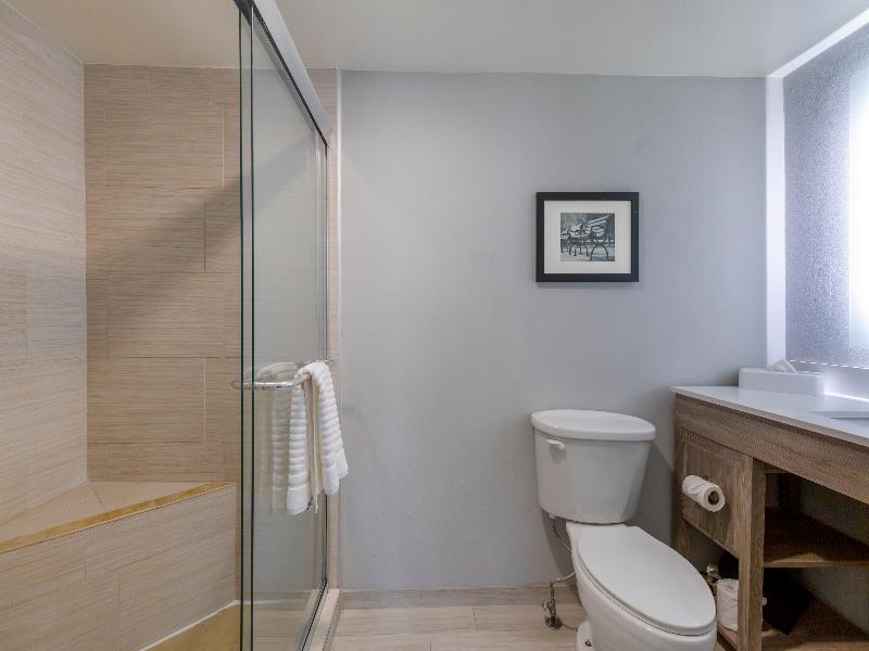 Comfort Inn & Suites Alexandria Area image