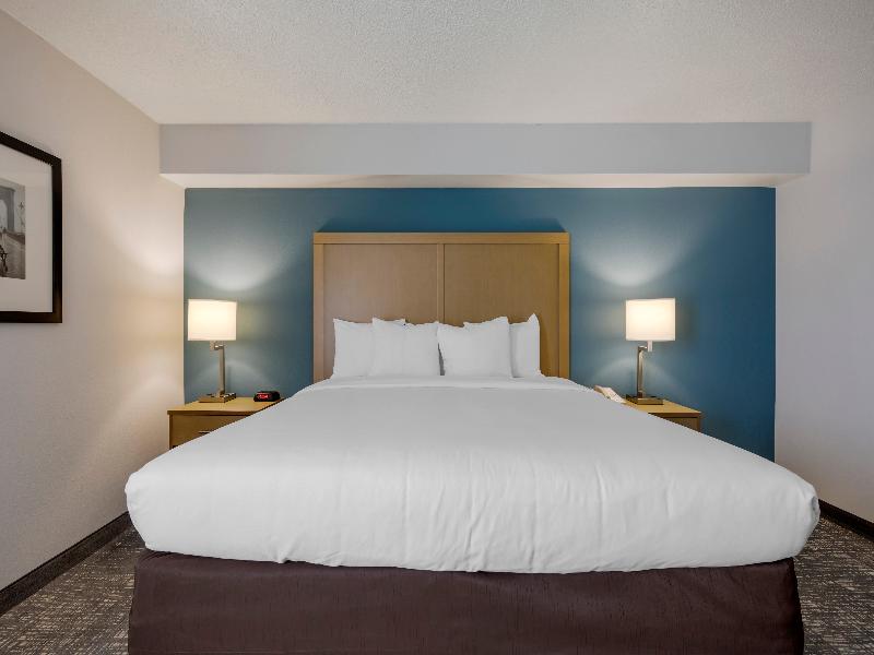 Comfort Inn & Suites Alexandria Area image