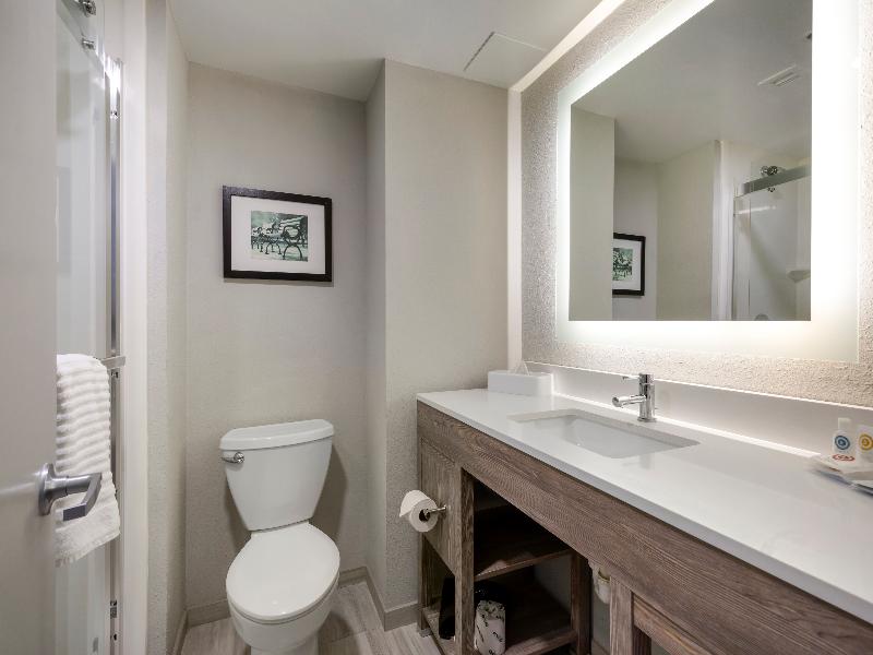 Comfort Inn & Suites Alexandria Area image