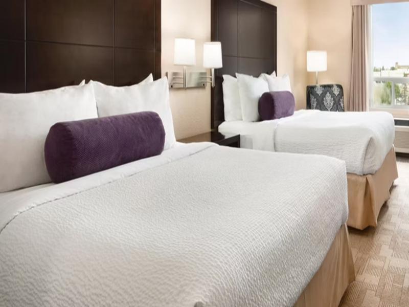 Prairie Crest Calgary Airport by IHG image