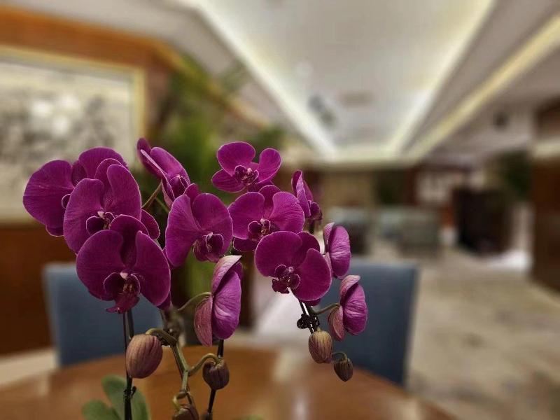 Regent Beijing image