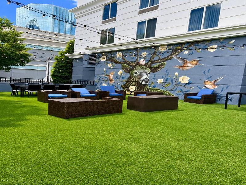 Springhill Suites Atlanta Buckhead image