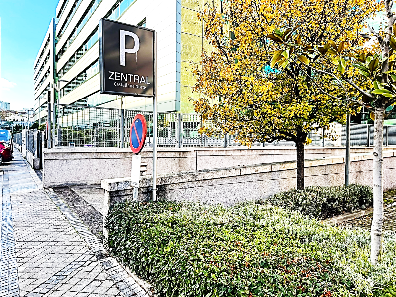 Zentral Castellana Norte image